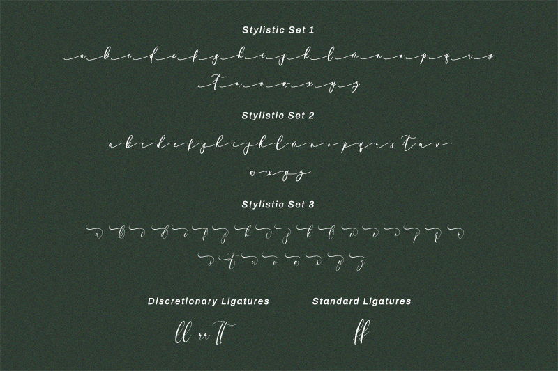 Somedeals | Script Font