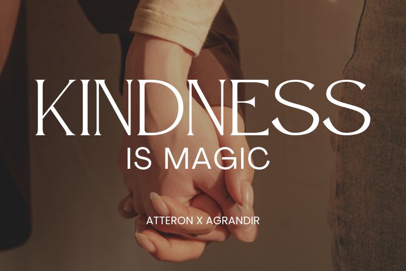 canva font combinations