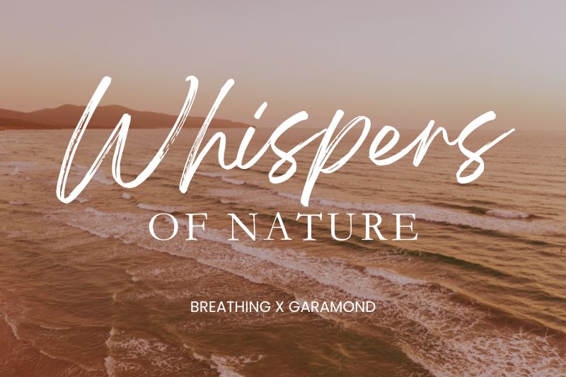 canva font combinations