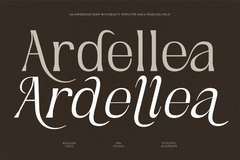 modern elegant serif font