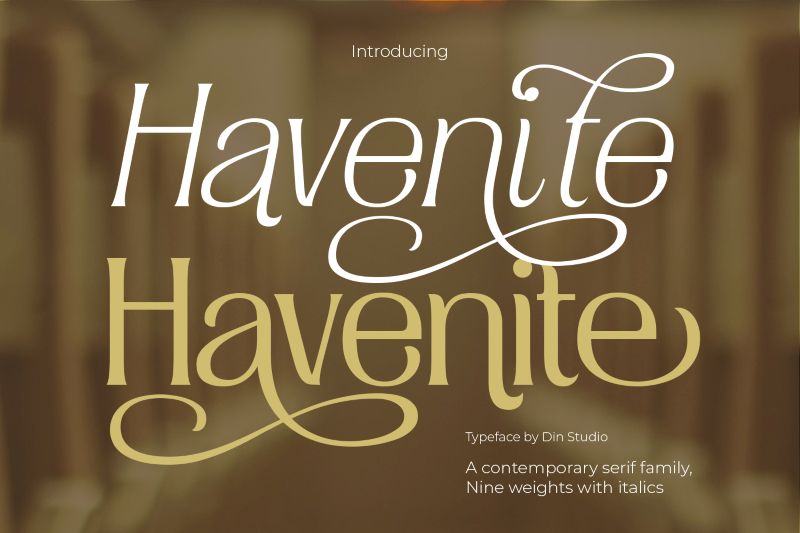 modern elegant serif font