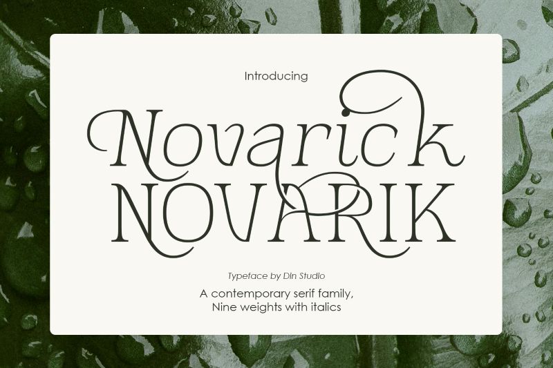 modern elegant serif font